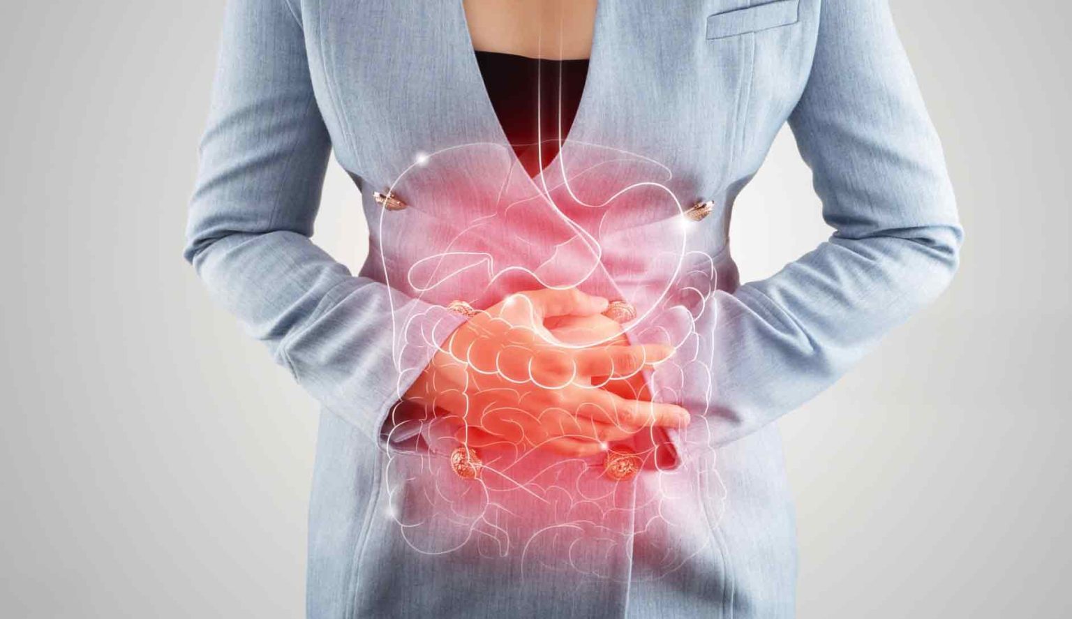 당신의 식탁을 지배하는 보이지 않는 손: 소화 호르몬, 그 거대한 영향력